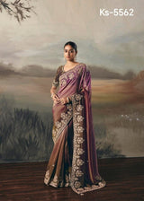 Kimora Silsila Pure Fancy Tissue Saree with Designer Handwork Blouse