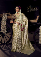 Pure Viscose Tissue Saree with Handworked Pallu