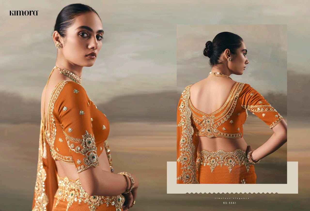 Pure Fancy Tissue Saree with Designer Contrast Hand Work Blouse - Wedding & Party Wear