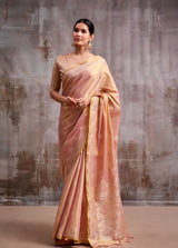 RajPath Fabrics Juhi Tissue Silk Saree Collection - 6 Pcs Set